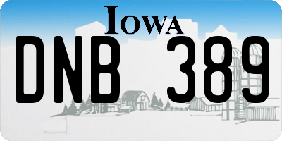 IA license plate DNB389