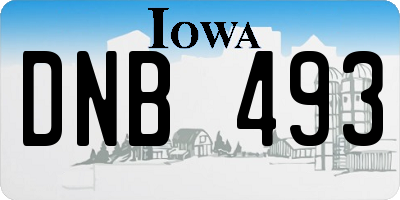 IA license plate DNB493