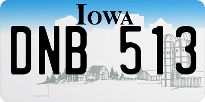 IA license plate DNB513