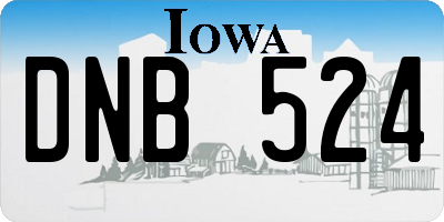 IA license plate DNB524