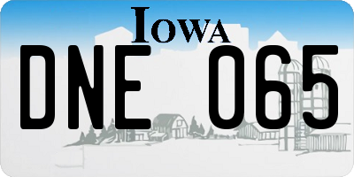 IA license plate DNE065