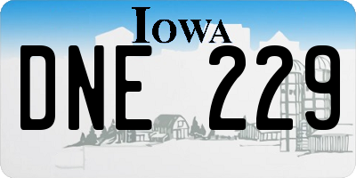 IA license plate DNE229