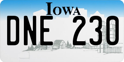 IA license plate DNE230