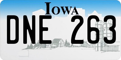IA license plate DNE263
