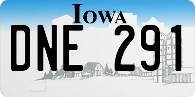 IA license plate DNE291