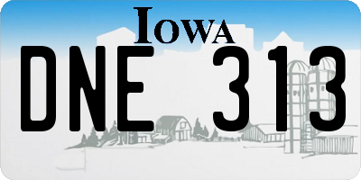 IA license plate DNE313