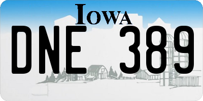 IA license plate DNE389
