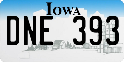 IA license plate DNE393