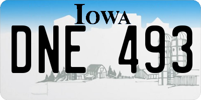 IA license plate DNE493