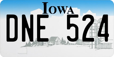 IA license plate DNE524