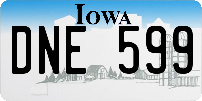 IA license plate DNE599