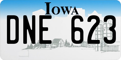 IA license plate DNE623