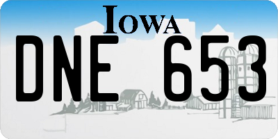 IA license plate DNE653