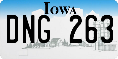 IA license plate DNG263