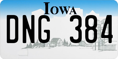 IA license plate DNG384