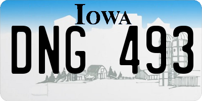 IA license plate DNG493