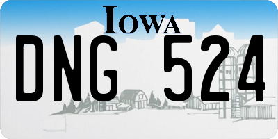 IA license plate DNG524