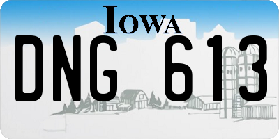 IA license plate DNG613