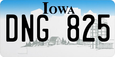 IA license plate DNG825