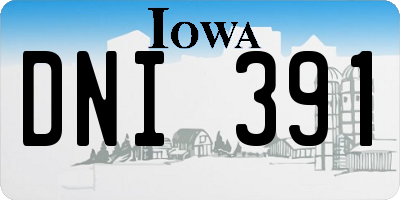 IA license plate DNI391