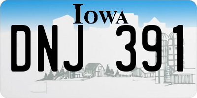 IA license plate DNJ391