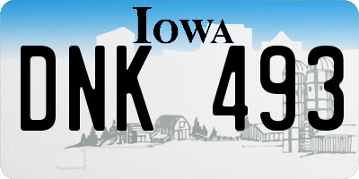 IA license plate DNK493