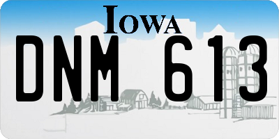 IA license plate DNM613