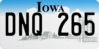 IA license plate DNQ265