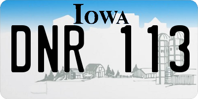IA license plate DNR113