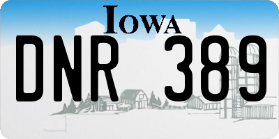 IA license plate DNR389
