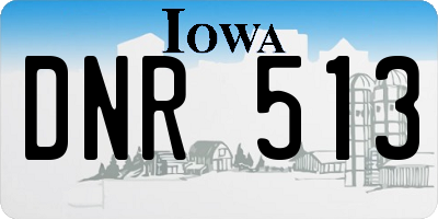 IA license plate DNR513