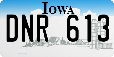 IA license plate DNR613