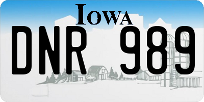 IA license plate DNR989