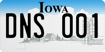 IA license plate DNS001
