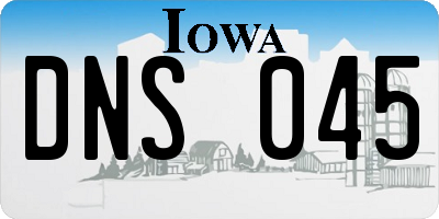 IA license plate DNS045