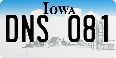 IA license plate DNS081