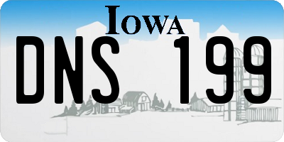 IA license plate DNS199