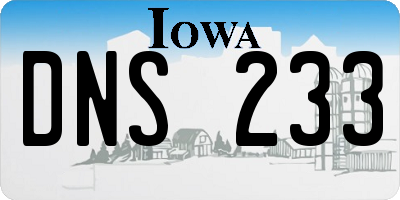 IA license plate DNS233