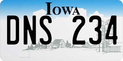 IA license plate DNS234