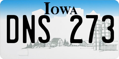 IA license plate DNS273