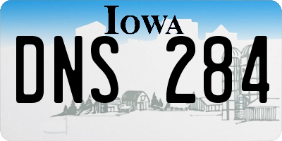 IA license plate DNS284