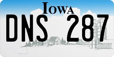 IA license plate DNS287
