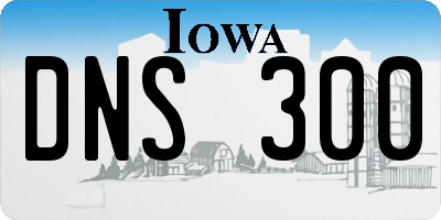 IA license plate DNS300