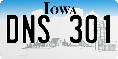 IA license plate DNS301