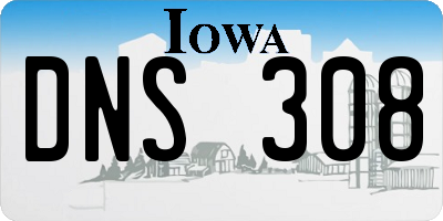 IA license plate DNS308