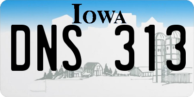 IA license plate DNS313