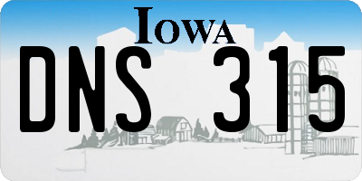 IA license plate DNS315