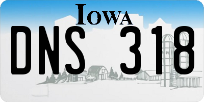 IA license plate DNS318