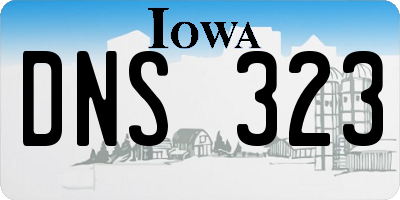 IA license plate DNS323