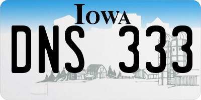IA license plate DNS333